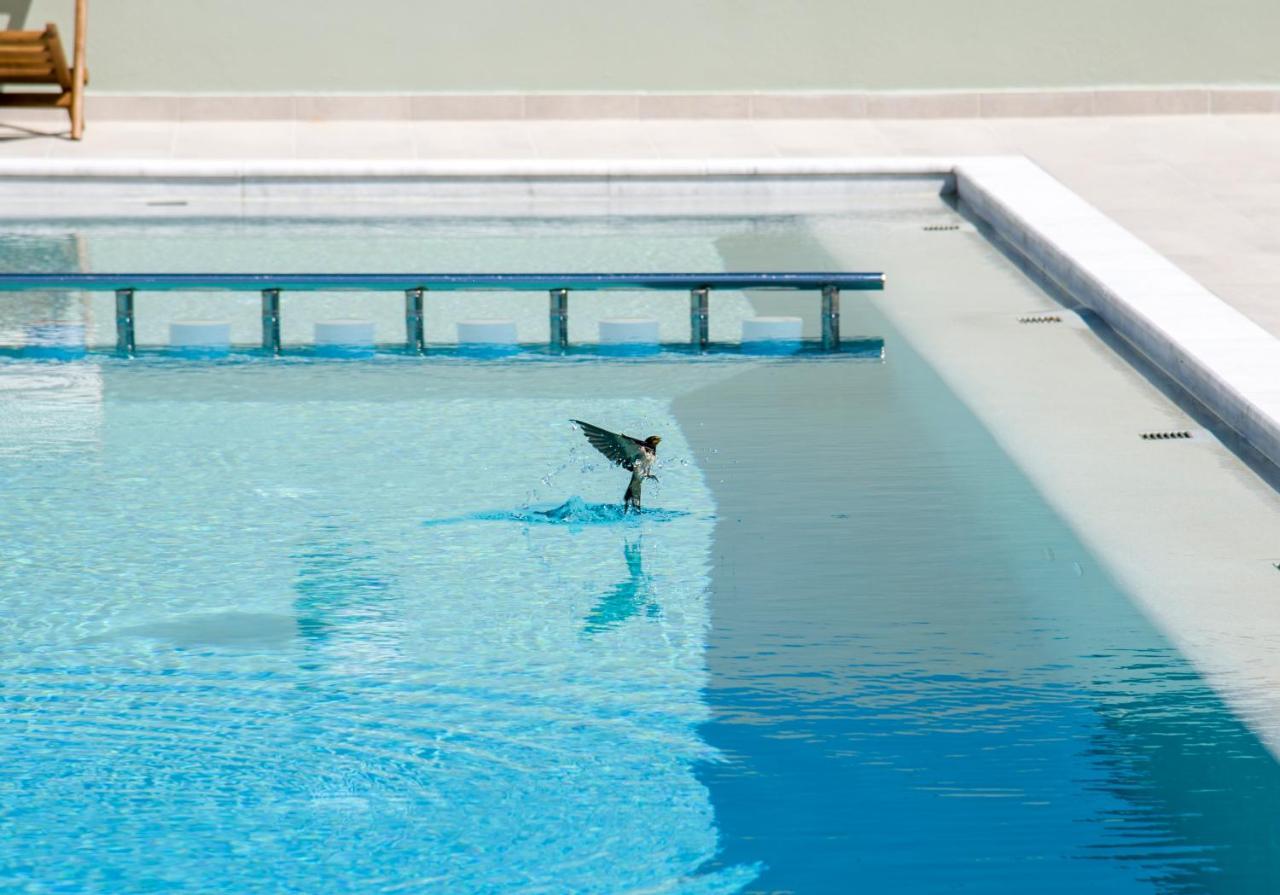 Incognito Creta Luxury Suites And More Колимварион Экстерьер фото